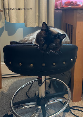 Bert lounging on stool in quilting room cat on stool sewing room chair