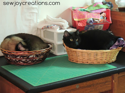 Cats in baskets on my extra cutting table cats in baskets