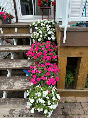 impatiens growing in pots on the stairs deck plants impatiens