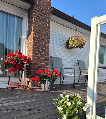 Geraniums and bee attracting hanging plant geraniums hanging plant deck plants