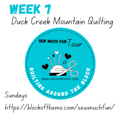 Week 7 of Sew Much Fun Tour